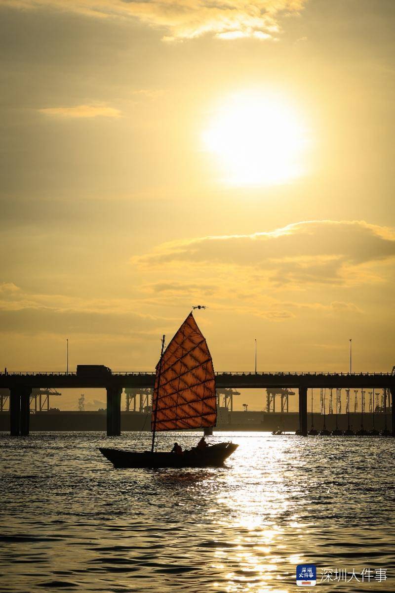 中式传统帆船亮相wmrt世界大赛舞台_黄东_海蟹_湾区