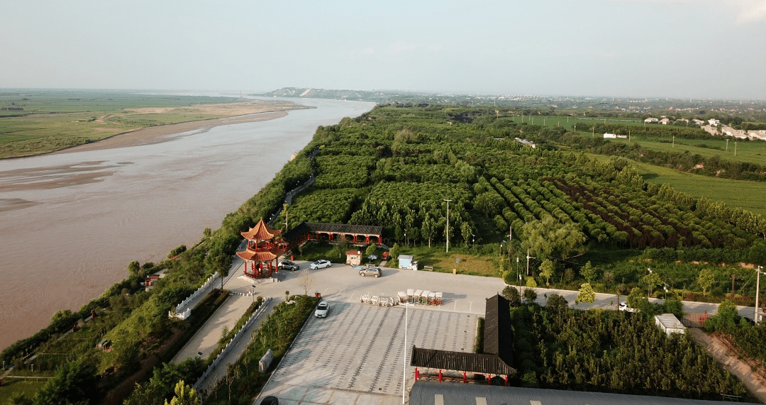 黄河岸边家园美_南屯村_发展_乡村