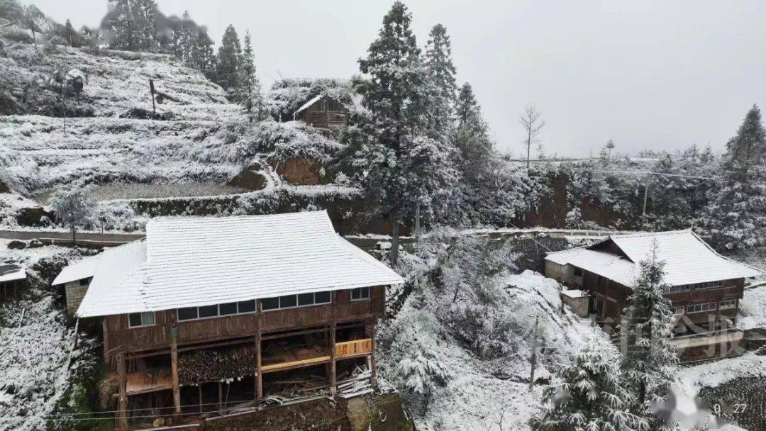 桂林最低氣溫零下8℃!又有冷空氣補充,家長們挺住_霧凇_山區_影響