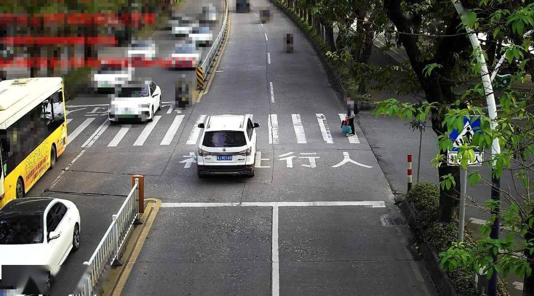 斑馬線前不禮讓行人,你被點名了!_機動車_道路_車牌