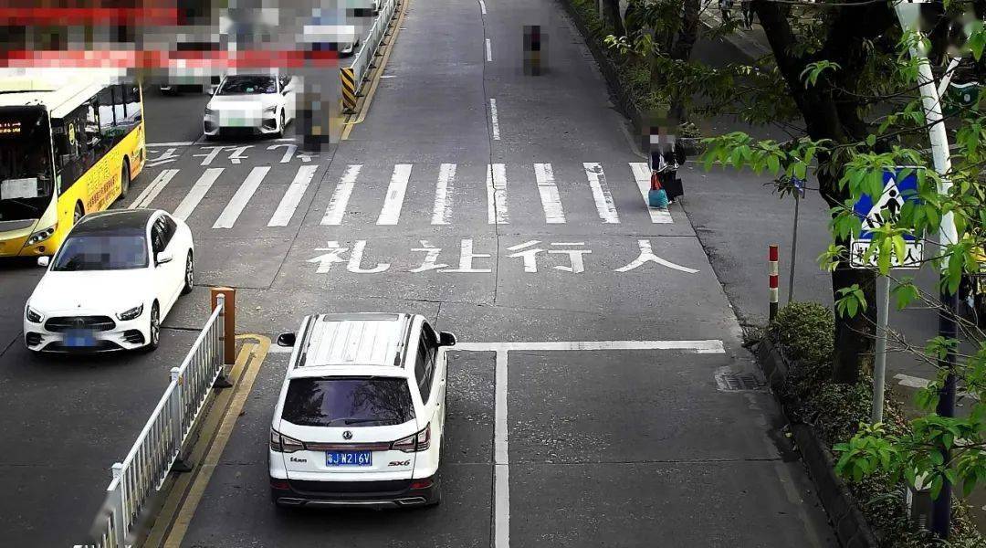 斑馬線前不禮讓行人,你被點名了!_機動車_道路_車牌