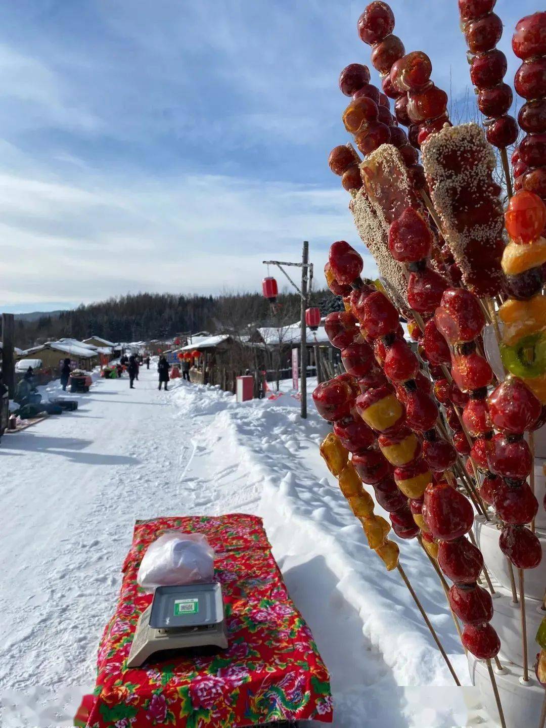 快来吉林的雪村!_北村_东北_村落