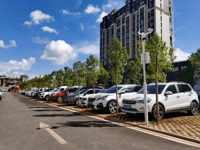 【县区风采】江川区:挖掘城市潜力空间 探索"绿美城市"建设新路径