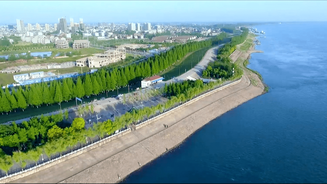 年终大盘点|荣誉篇_江陵_白马寺镇_资市镇