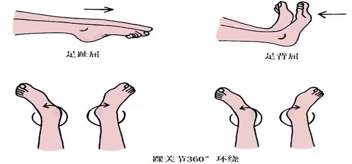 足用力做上鉤,保持5-10秒,髕骨不能左右移動;踝關節最大程度背屈,保持