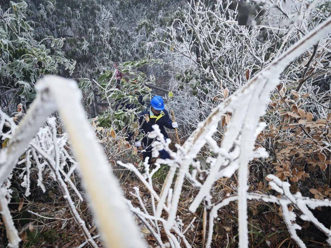 总有人爬冰卧雪为你而来_广西_线路_电网