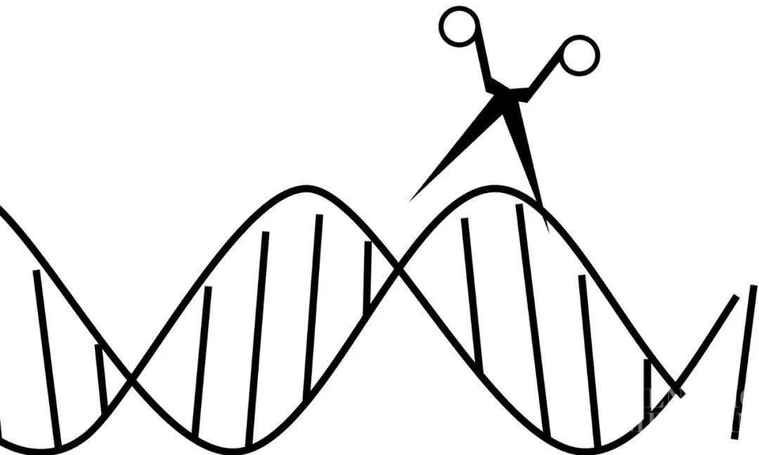 13億美元風投,開發突破性新技術_tome_cas_方法