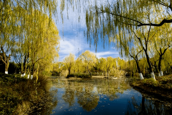 運河_綠廊_生態