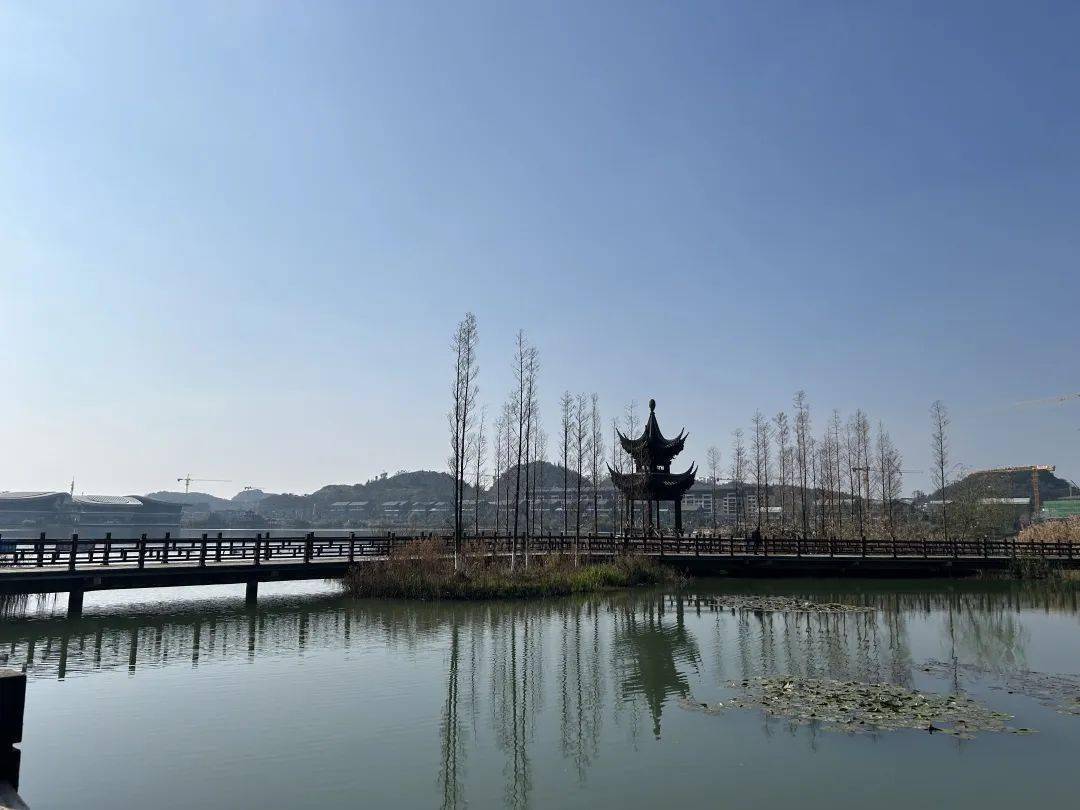 冬游安顺!突然"造访"的暖阳扮靓了公园和游玩的人们_娄湖_阳光_天气