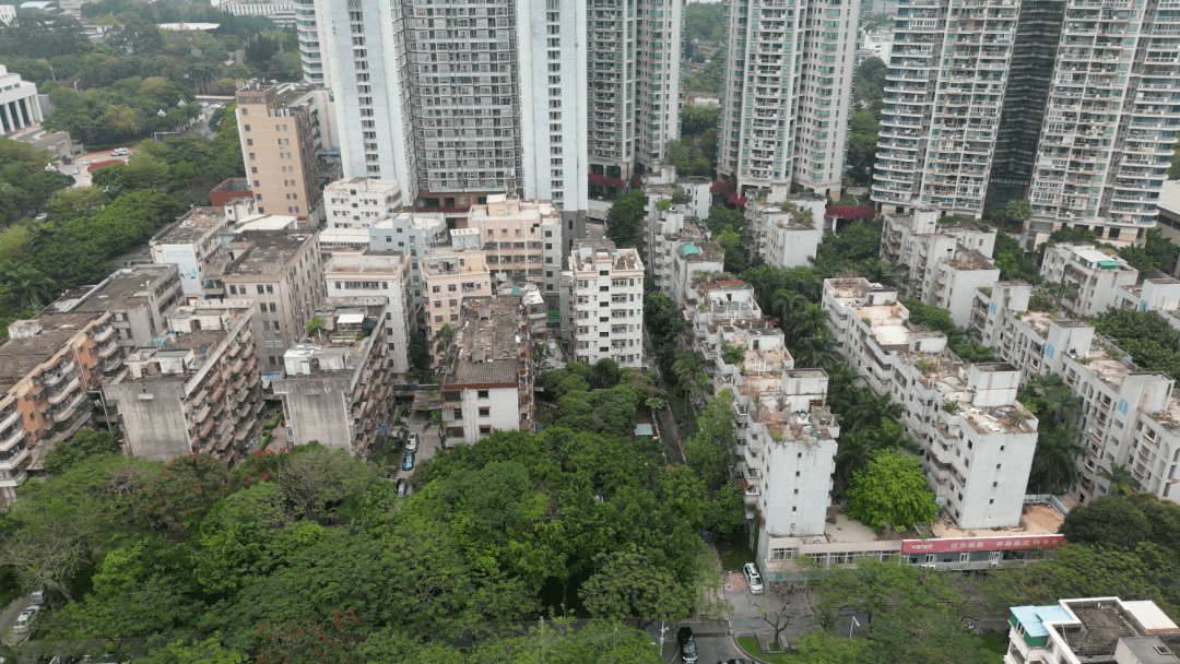 海涛花园有62户业主带着遗憾离世,木头龙旧改据悉是49位,而南苑新村在