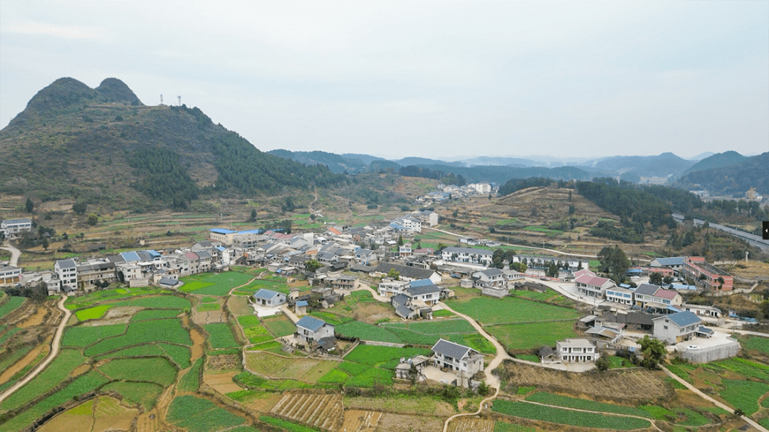 团溪镇白果村 多措并举建设和美乡村