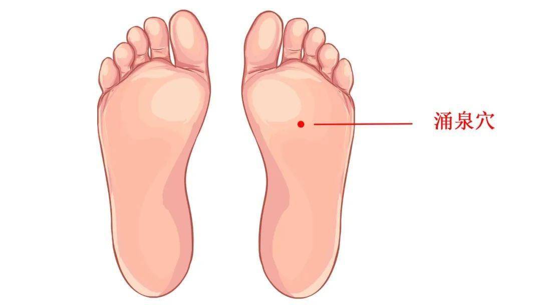肾的脚底位置图片图片