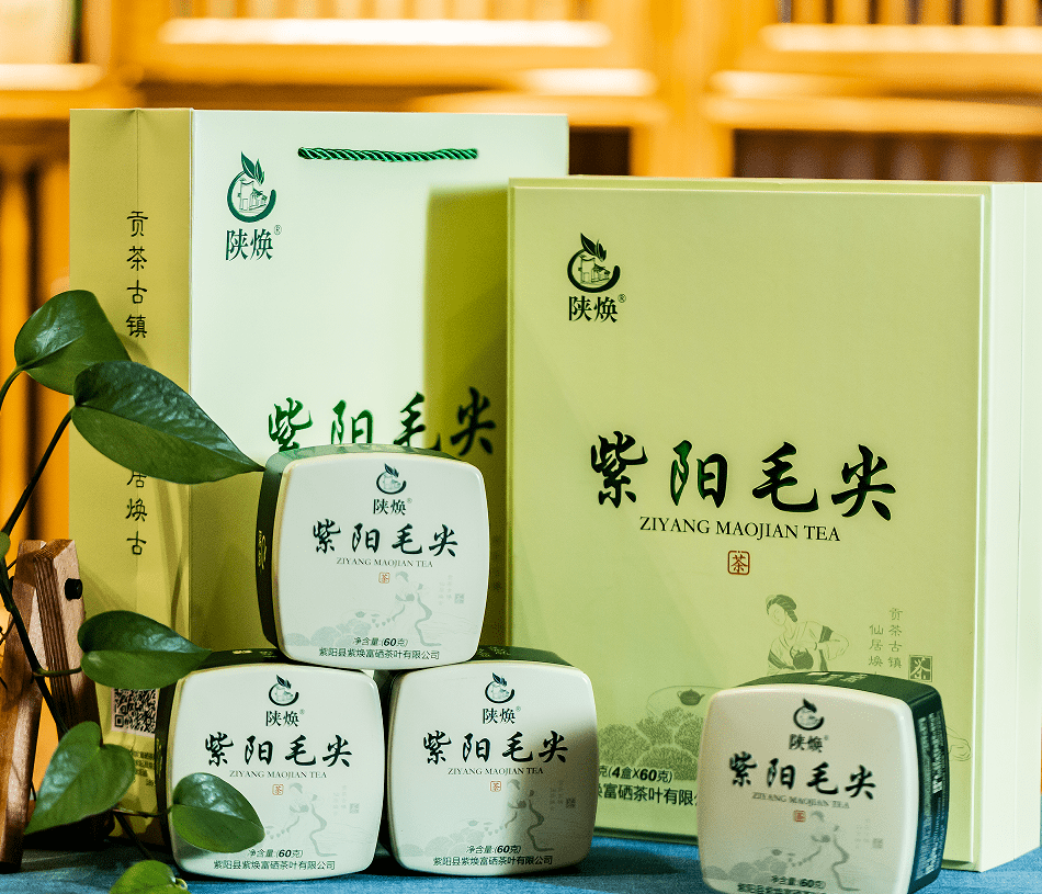 来紫阳焕古一梦千年,探寻贡茶古镇的前世今生!_古味道_安康_游人