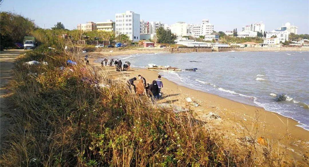 澄海堆积大量塑料泡沫垃圾,污染情况严重_莱芜_沙滩_整治