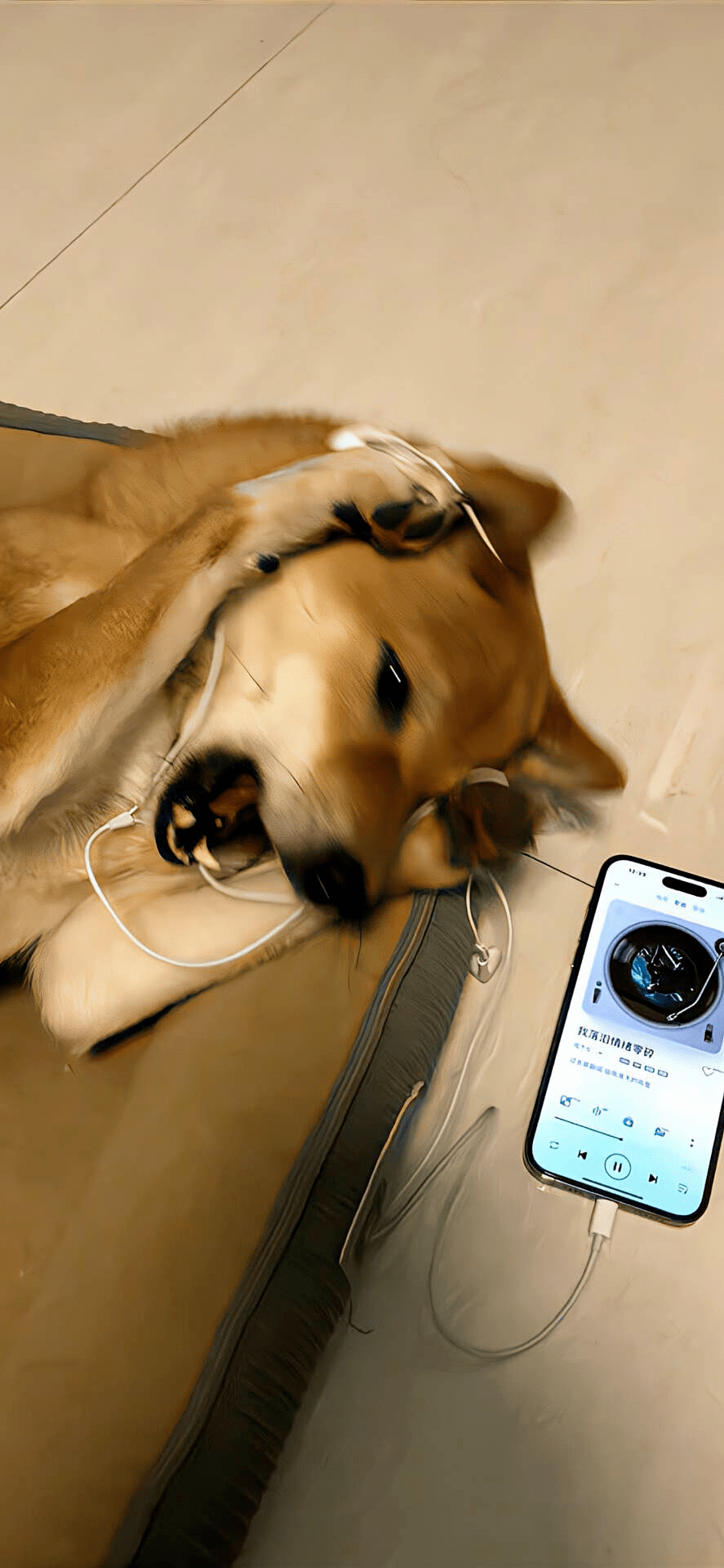 壁纸|一眼就爱上的锁屏壁纸