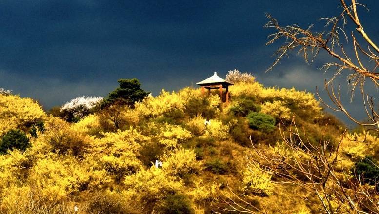 安泽黄花岭风景区攻略图片