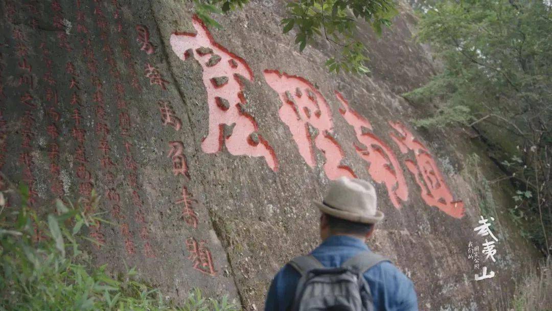 快不得,武夷山這片綠葉當得慢慢品_朱熹_朱子_茶葉