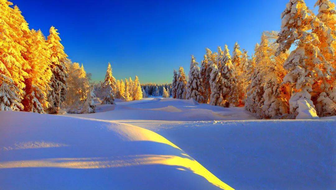 江边雾凇,天然雪雕高山平湖,林海雪原一定不要错过!