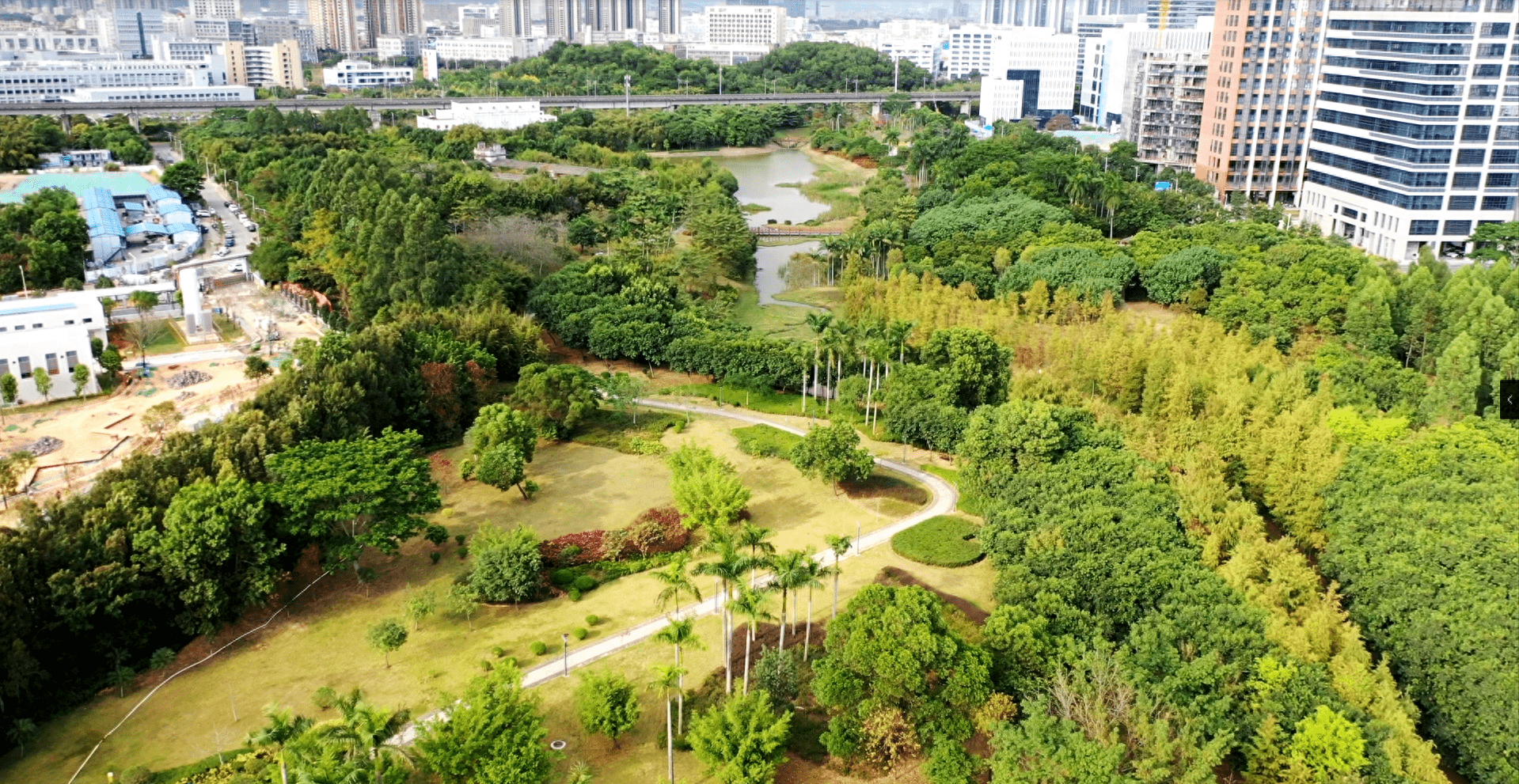 聚龙山生态公园图片