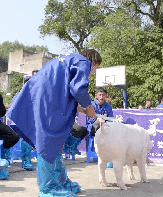 这场"巅峰对决"前10强正式揭晓_扬翔_选手_乡村