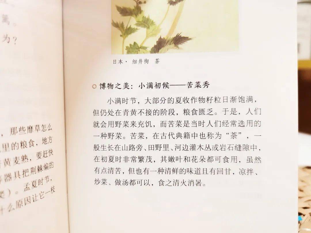 海棠與桃花的區別,水仙的結構特點,芍藥為何被稱為