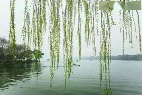 依然從容丨才離楊柳岸,又赴杏花村_一ㄔ確平臺_風雨