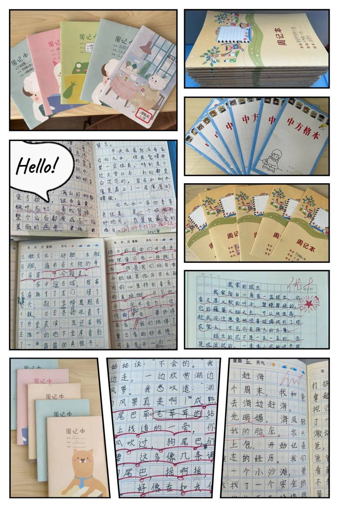 【精致管理双提升】践行十个一 写好小日记——三年级语文学科整本书