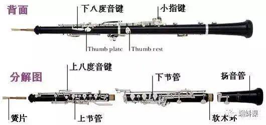 網傳世界上十大公認最難學的樂器排行榜_鋼琴_低音_音色