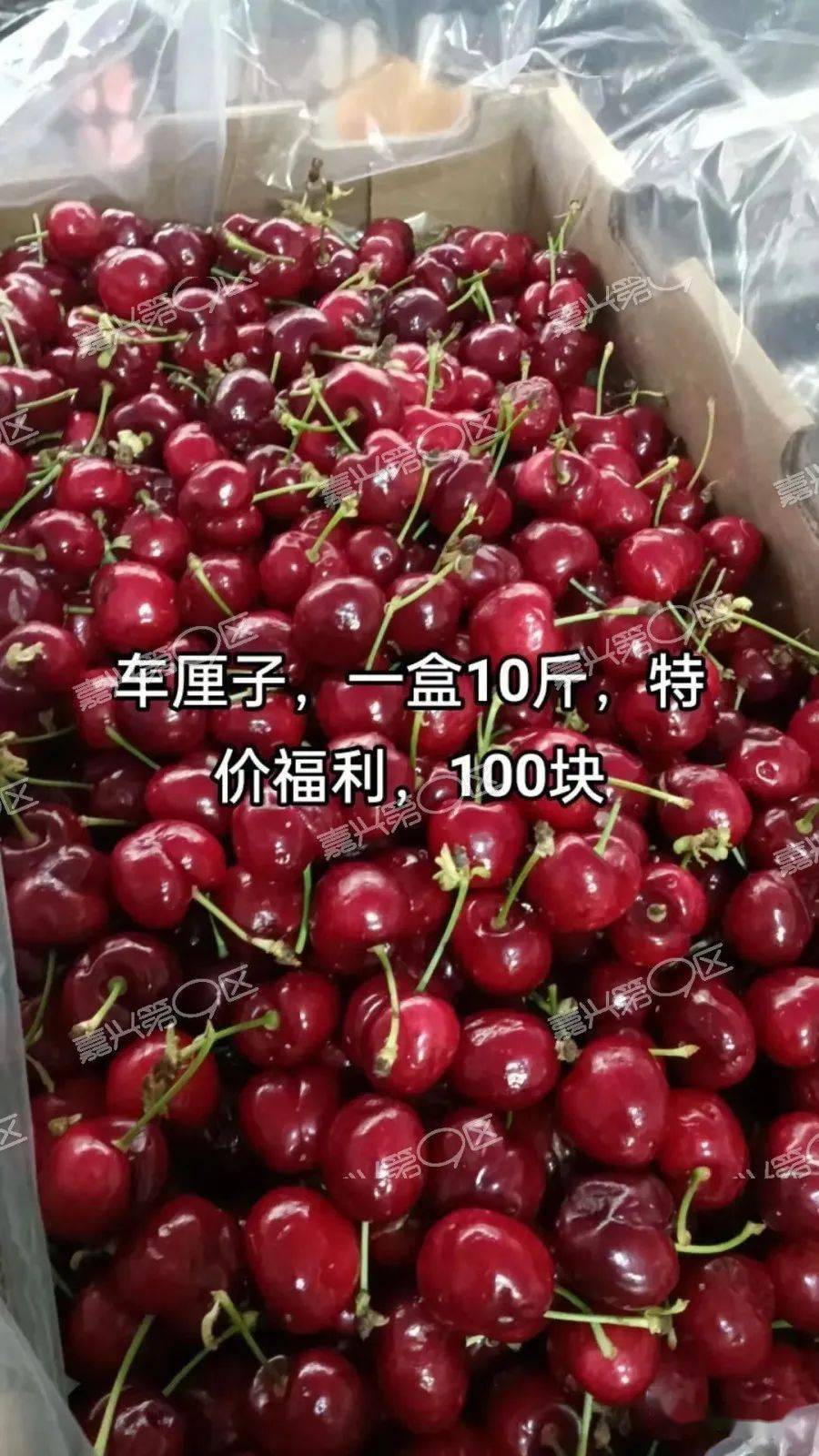 看了嘉兴几家水果店车厘子的价格