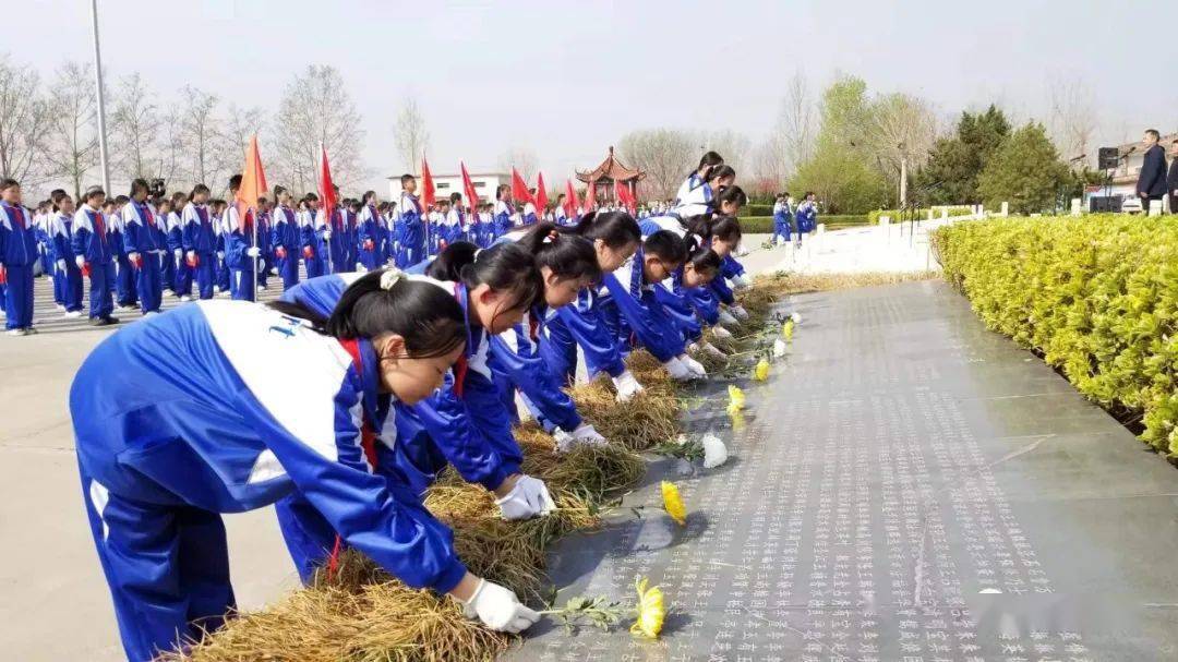 走進我市的中小學校,在校園的文化牆上,教學樓的走廊裡,學生手抄報及