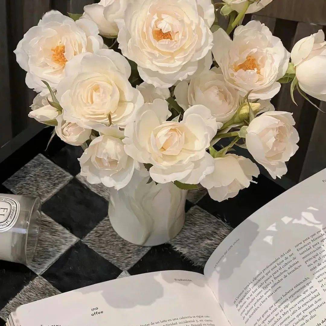 89 186269图文素材来源网络,侵权留言删除返回搜狐,查看更多