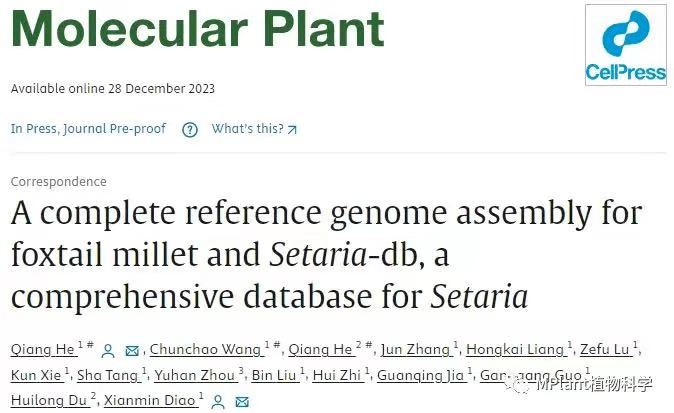 mol plant | 首個穀子t2t參考基因組及多組學綜合