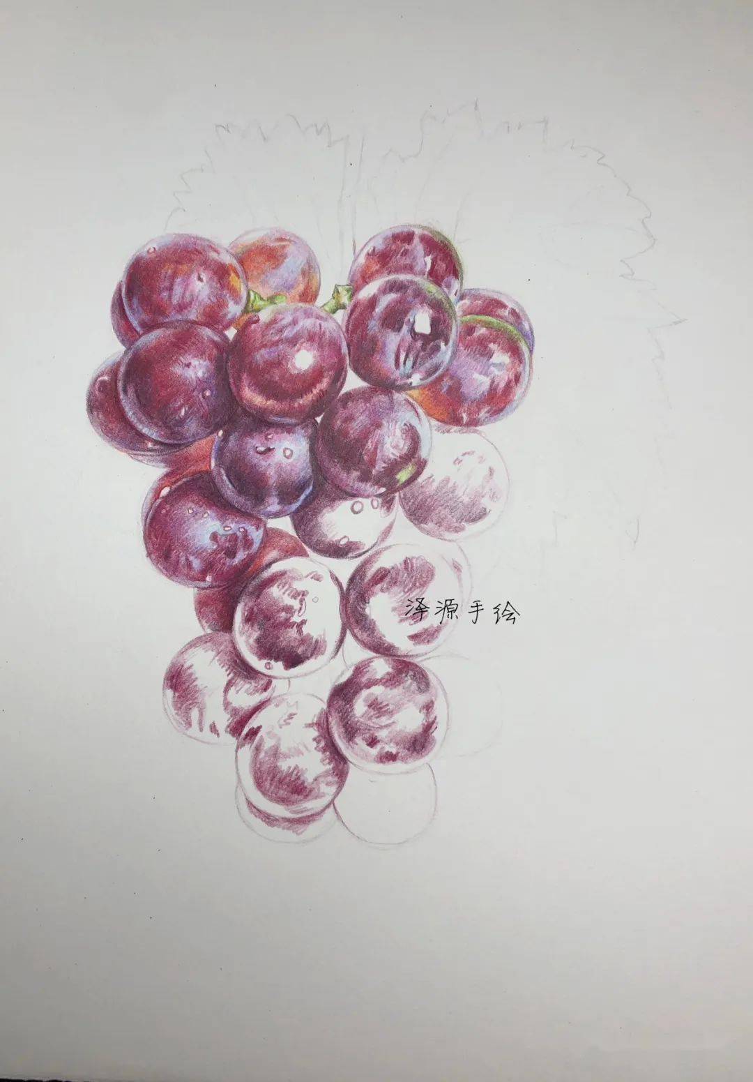 彩铅葡萄!_水彩_知识