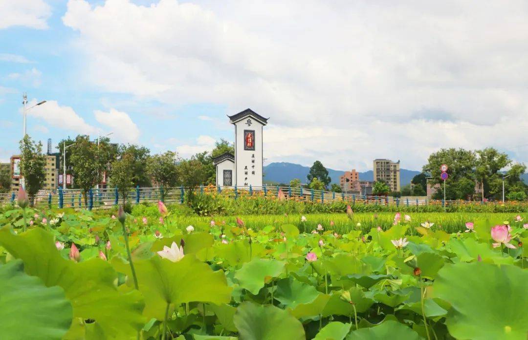 韶關a級景區全攻略!好玩又有儀式感_地址_廣東_旅遊