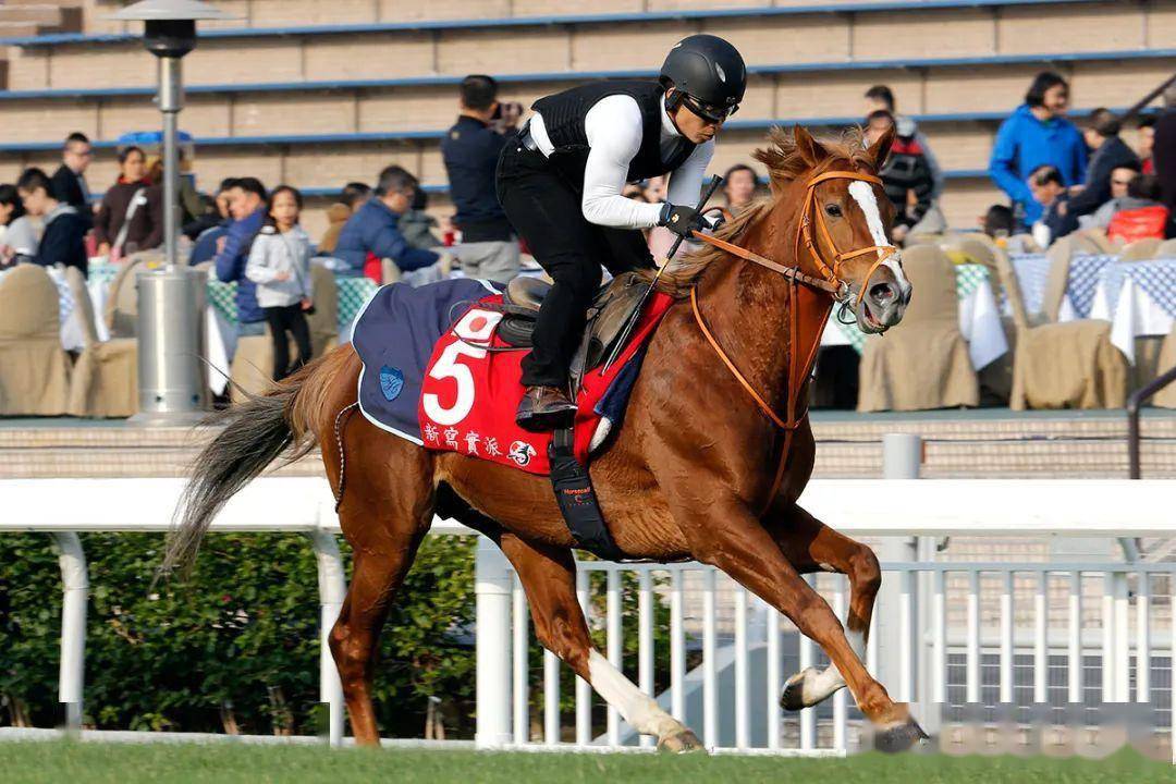 其中包括问鼎日本中央竞马会三冠赛的首两关皐月赏,东京优骏(日本德比
