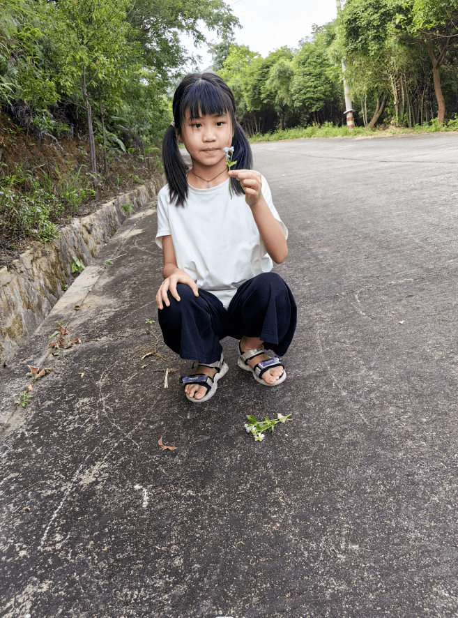 【广东】程沛怡《泪》指导老师:孟凡启_数学_泪水_作文