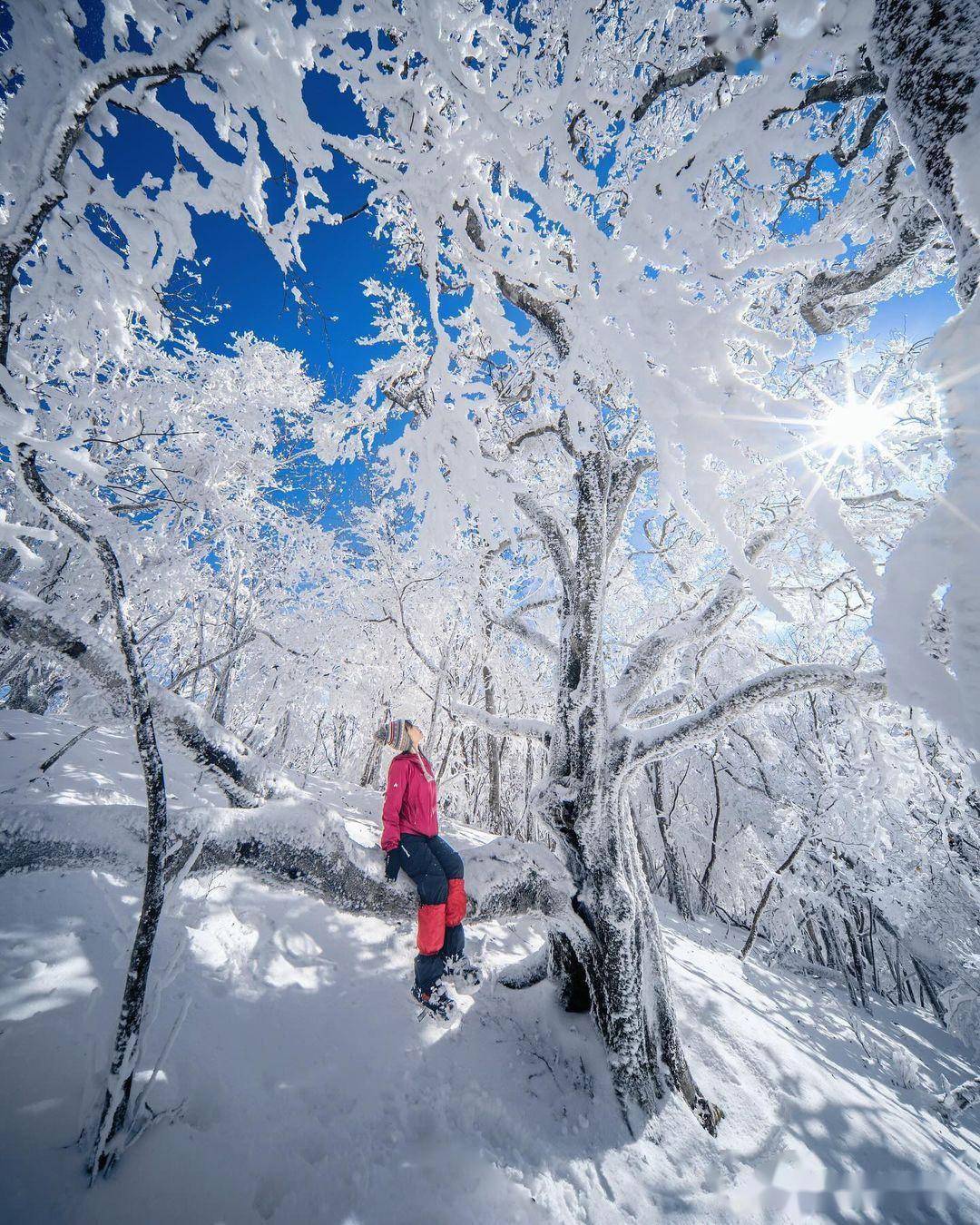 雪景人物唯美照片欣赏图片