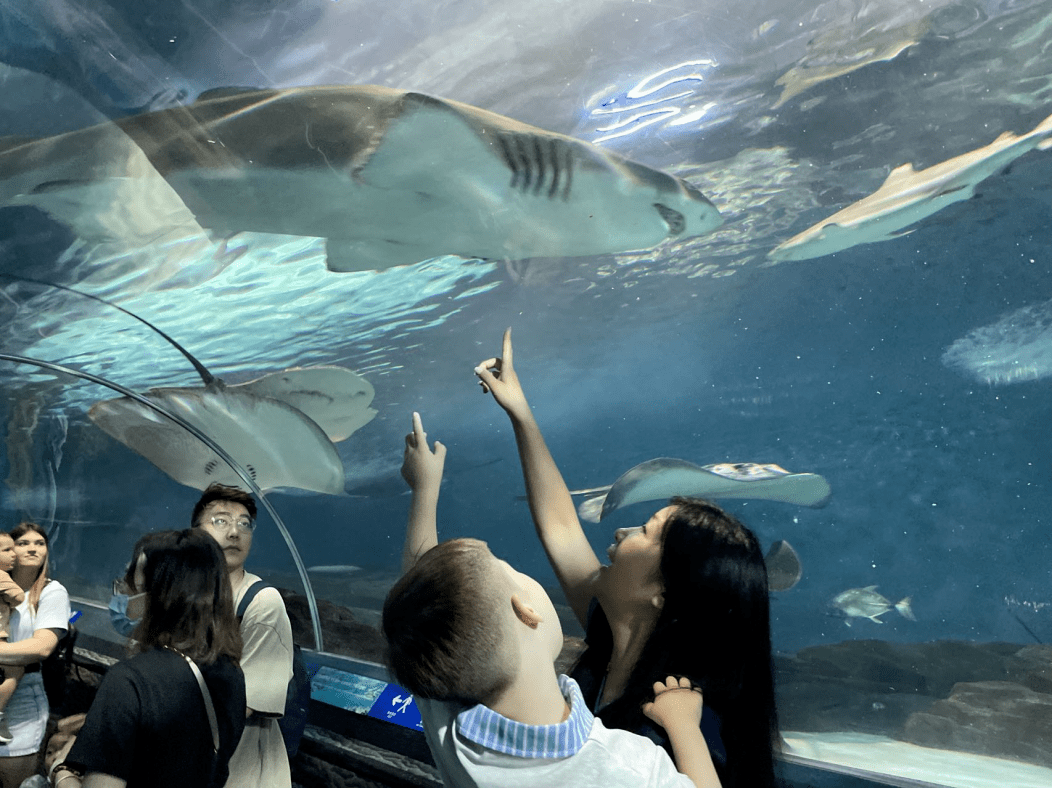 水族館裡翩翩起舞的海底動物,讓我也驚訝到尖叫.