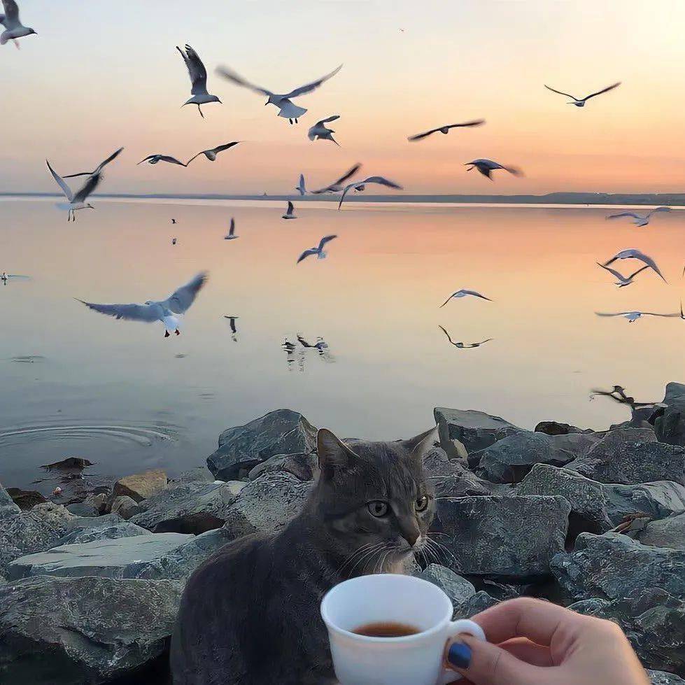 高质量背景图