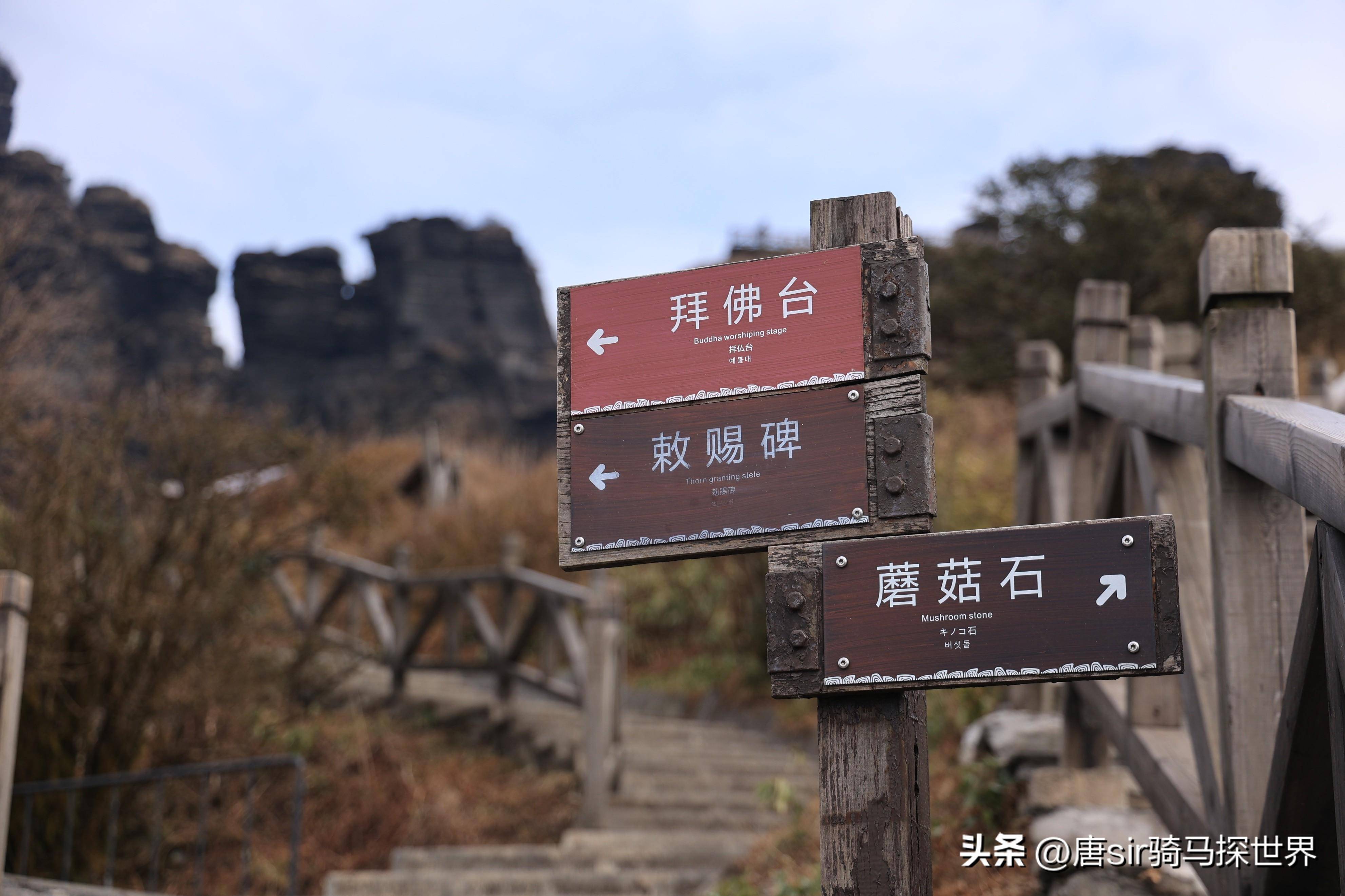 "梵天净土,桃源铜仁",这个冬天来贵州开启一场康养之旅_梵净山_景区