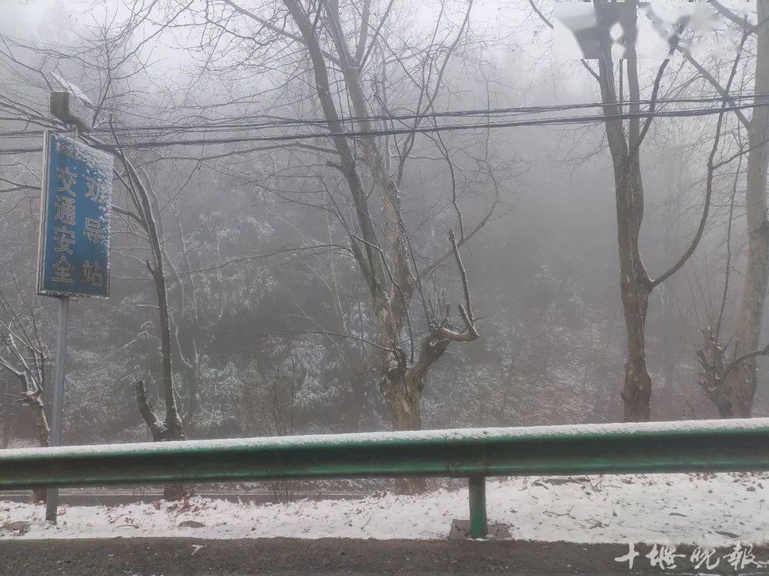 片蒼茫昨晚,房縣九道鄉降下大雪房縣九道鄉楊祖盛/攝敲打在樹葉上沙沙